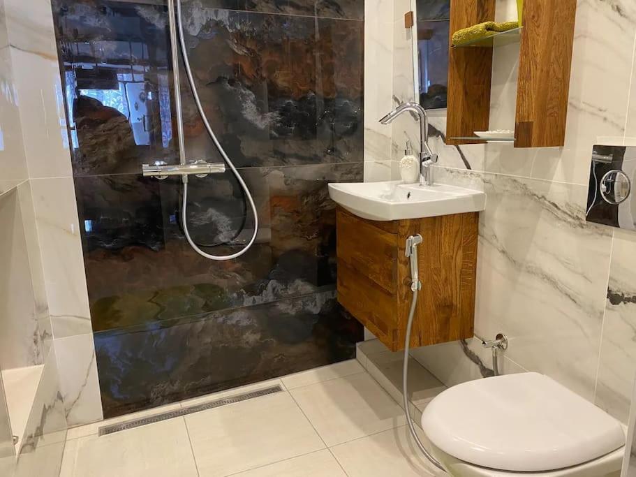 Ravissant Shabby Chic Au Centre De Metz Apartment Екстериор снимка