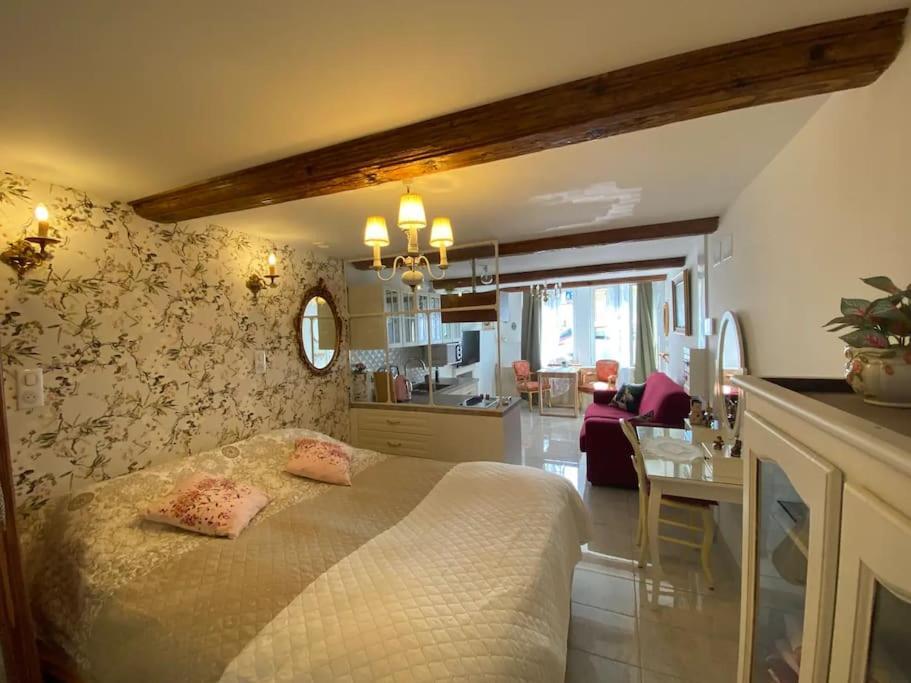 Ravissant Shabby Chic Au Centre De Metz Apartment Екстериор снимка