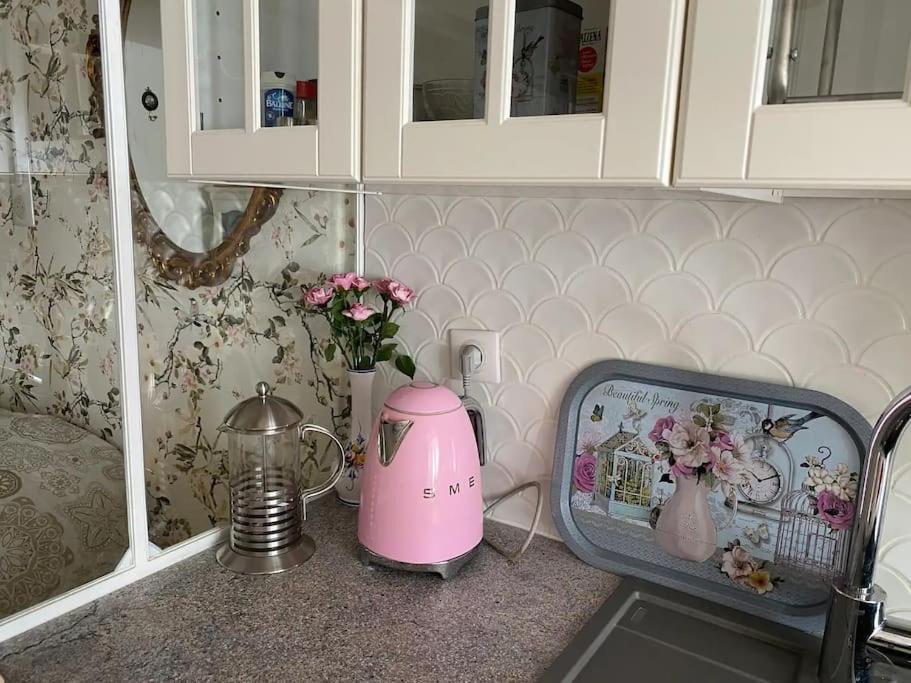 Ravissant Shabby Chic Au Centre De Metz Apartment Екстериор снимка